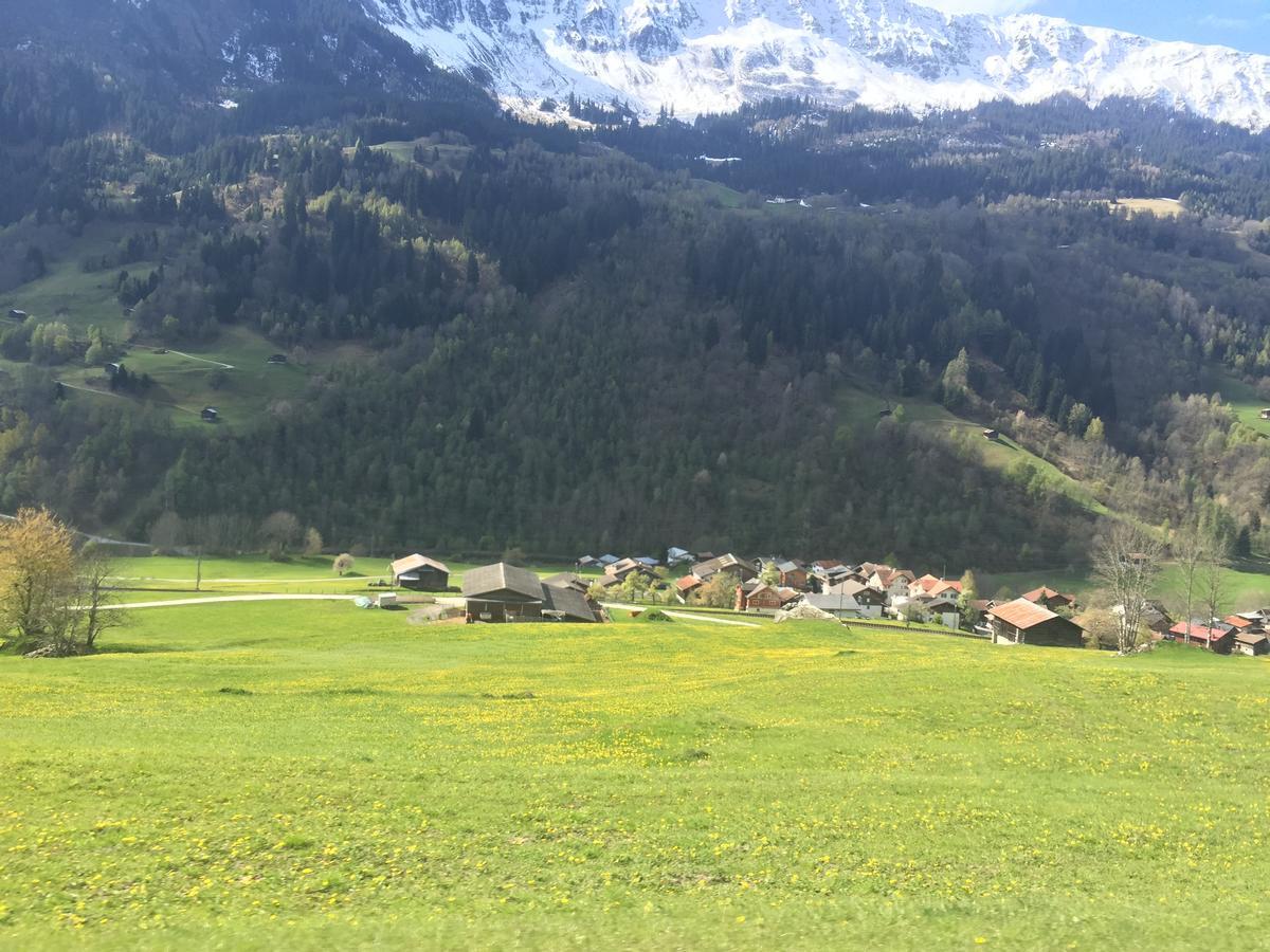 Disentis Apartment ภายนอก รูปภาพ